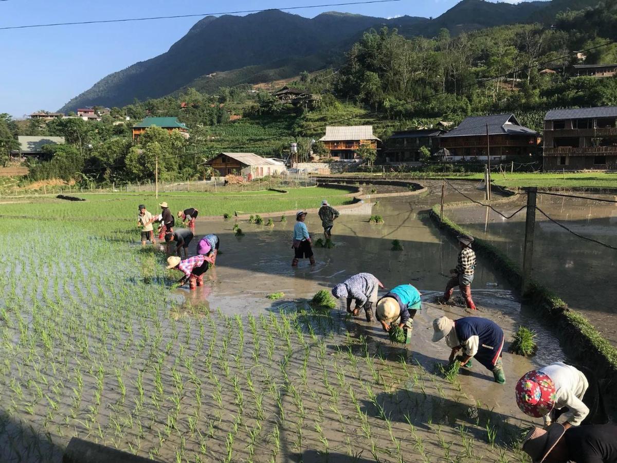 Little Ta Van Homestay Sa Pa Ngoại thất bức ảnh