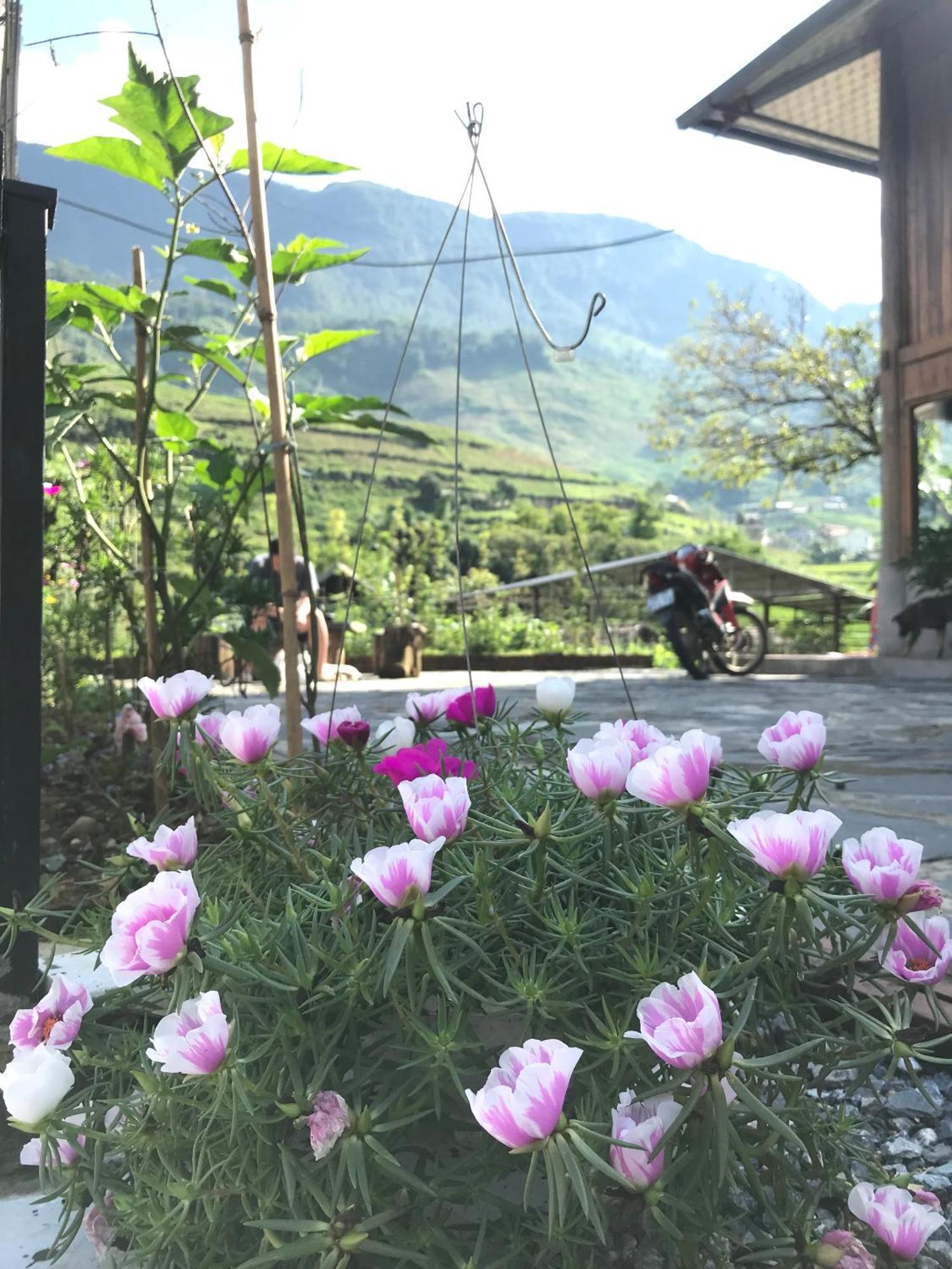 Little Ta Van Homestay Sa Pa Ngoại thất bức ảnh